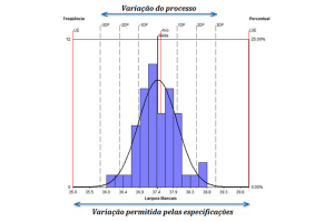 Read more about the article [:pb]Capacidade e Performance: entenda os índices Cp, Cpk, Pp e Ppk[:es]Capacidad y rendimiento: entienda los índices Cp, Cpk, Pp y Ppk[:]